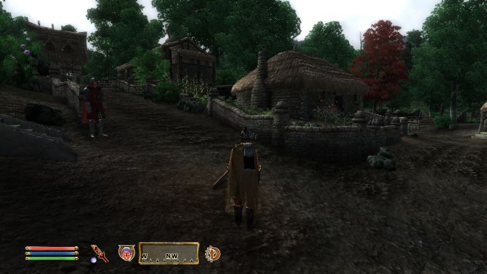 Skingrad