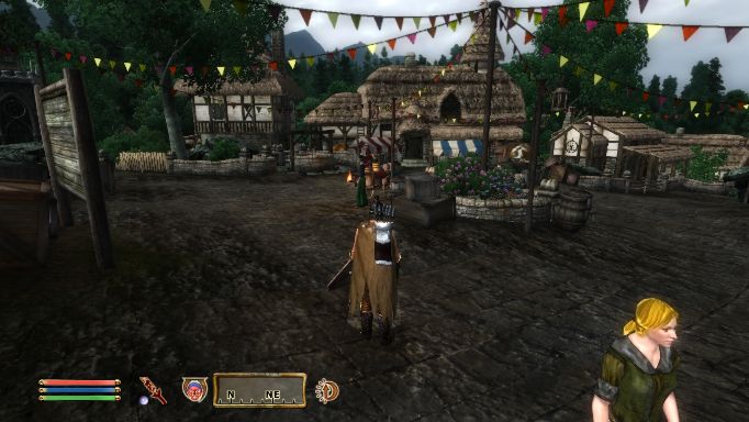 Skingrad